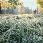 19 листопада: цікаві факти і події дня для рівнян